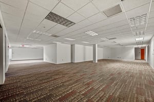 33132367