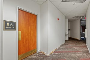 33132364