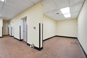 33134684