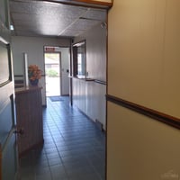 33135026