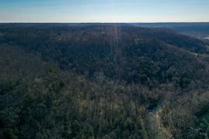 33137296