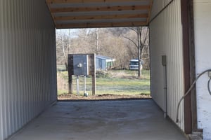 33137318