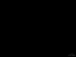 33138526