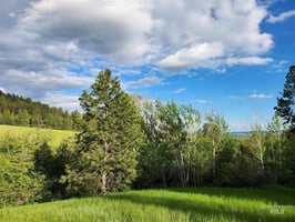 33149511