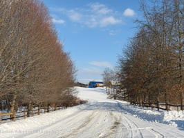 33154567