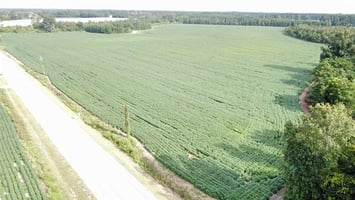 33157377