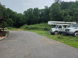 33157521