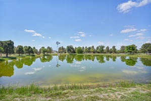 33167438