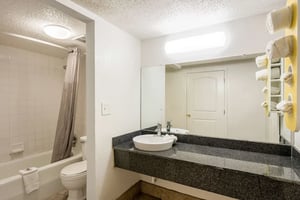 33163674