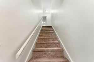 33185303