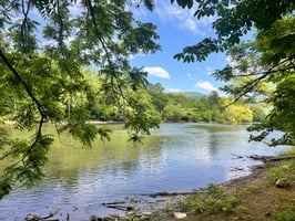 33167265