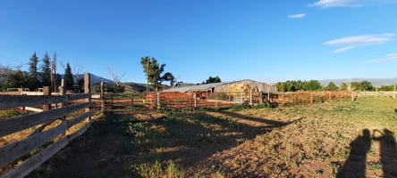 33169278