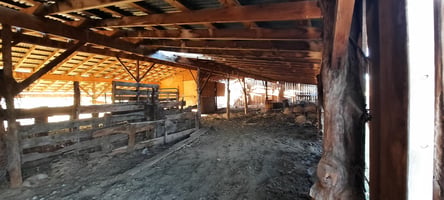 33169276