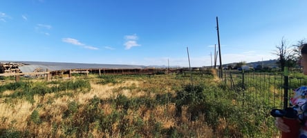 33169267