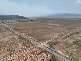 33169281