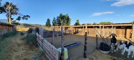 33169279