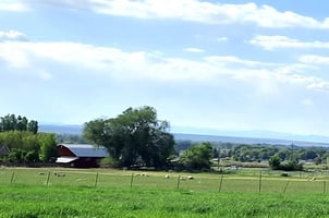 33169310