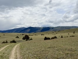 33177482