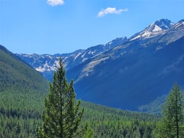 33177536