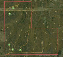 33178023