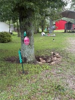 33178784