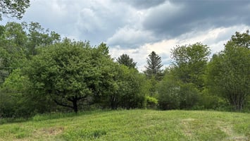 33478921