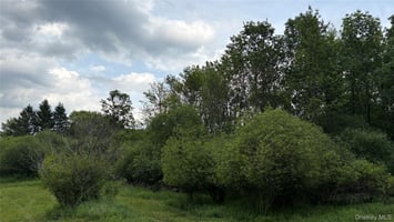 33478926
