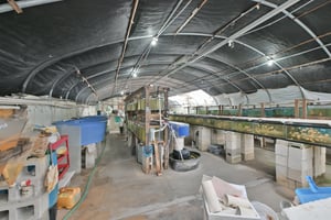 33179918