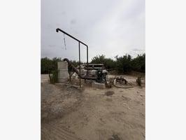33185500