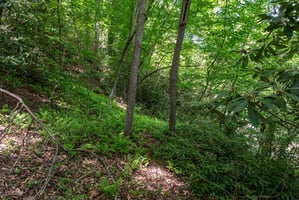 33189145