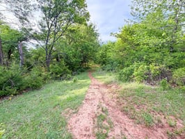 33195030