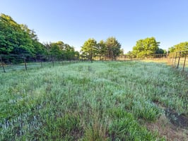 33199615