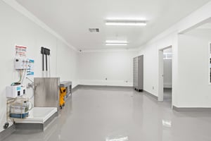 33200892