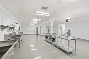 33200894