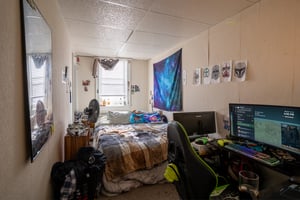 33201323