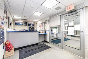 33203583