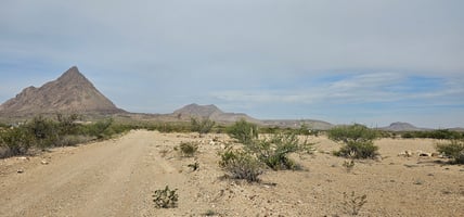 33215868