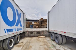 33762641