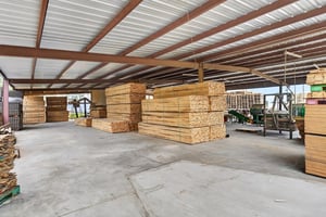 33762644