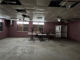 33220258