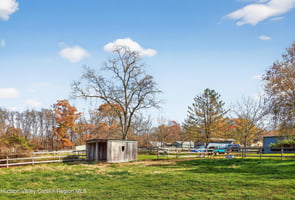 33595802