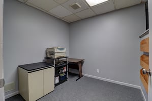 33223628