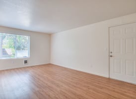 33237567