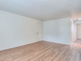 33237565