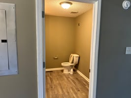 33244216