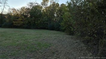 33245653