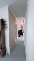 33850166