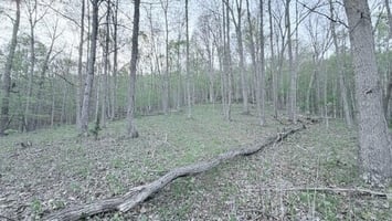 33248426