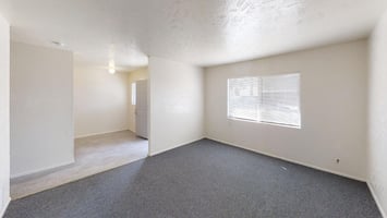 33250719