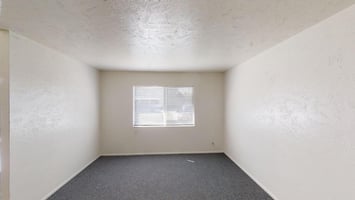 33250742